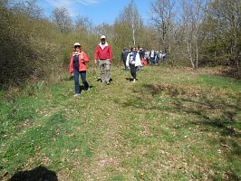 baladepique-nique2017dbut24