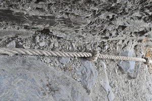 20431209_796142797226255_8887609464467614809_n