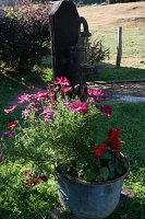 fleursjuillet2018016