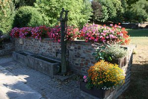 fleursjuillet2018021