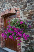 fleursjuillet2018031