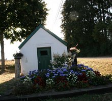 fleursjuillet2018033