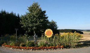 fleursjuillet2018034