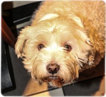 48398281_2233978736890499_8746604549302648832_o