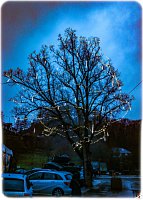 48418750_2235095413445498_5454691466162995200_o