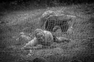 19756588_1917711968517179_2894766654988422351_n