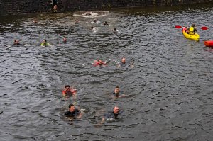 19875277_1916305561991153_5164081685940137822_n